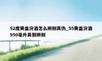 52度黄盖汾酒怎么辨别真伪_55黄盖汾酒950毫升真假辨别