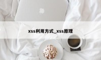 xss利用方式_xss原理