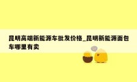 昆明高端新能源车批发价格_昆明新能源面包车哪里有卖