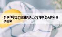 公章印章怎么辨别真伪_公章印章怎么辨别真伪视频