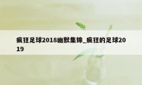 疯狂足球2018幽默集锦_疯狂的足球2019