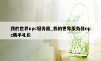 我的世界npc服务器_我的世界服务器npc新手礼包