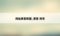 网站黑客新疆_黑客 网页