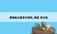 黑客能公婆支付宝吗_黑客 支付宝