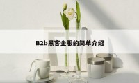 B2b黑客金服的简单介绍