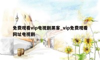 免费观看vip电视剧黑客_vip免费观看网址电视剧