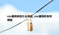 xss漏洞纯在什么风险_xss漏洞的有效措施