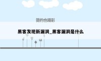 黑客发现新漏洞_黑客漏洞是什么