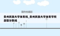 贵州民族大学体育线_贵州民族大学体育学院录取分数线