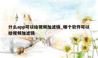 什么app可以给视频加滤镜_哪个软件可以给视频加滤镜