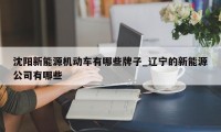 沈阳新能源机动车有哪些牌子_辽宁的新能源公司有哪些