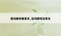 徵羽摩柯黑客文_征羽摩柯日常文