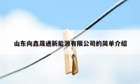 山东向鑫晟通新能源有限公司的简单介绍