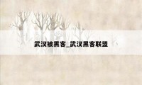 武汉被黑客_武汉黑客联盟