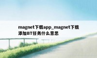 magnet下载app_magnet下载添加BT任务什么意思