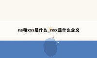 ns和xss是什么_nsx是什么含义