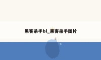 黑客杀手bl_黑客杀手图片