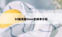 bt服务器linux的简单介绍