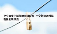中宁县秦宁新能源有限公司_中宁新能源科技有限公司项目