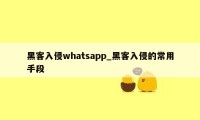 黑客入侵whatsapp_黑客入侵的常用手段