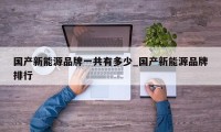 国产新能源品牌一共有多少_国产新能源品牌排行