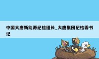 中国大唐新能源纪检组长_大唐集团纪检委书记