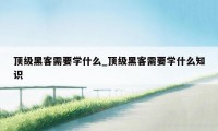 顶级黑客需要学什么_顶级黑客需要学什么知识