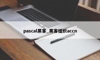 pascal黑客_黑客组织accn