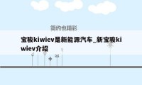 宝骏kiwiev是新能源汽车_新宝骏kiwiev介绍