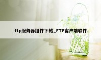 ftp服务器组件下载_FTP客户端软件