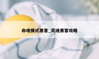 命魂模式黑客_灵魂黑客攻略