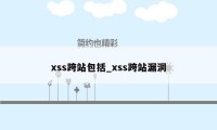 xss跨站包括_xss跨站漏洞