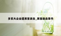 多家大企业遭黑客袭击_黑客袭击事件