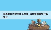 当黑客在大学学什么专业_当黑客需要学什么专业