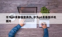 华为p8青春版查真伪_华为p8青春版手机图片