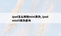 ipad怎么辨别mini真伪_ipad mini5真伪查询