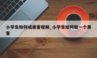 小学生如何成黑客视频_小学生如何做一个黑客