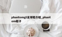 phantomgt足球鞋介绍_phantom鞋子