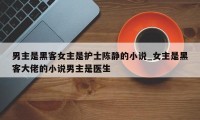 男主是黑客女主是护士陈静的小说_女主是黑客大佬的小说男主是医生