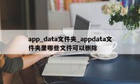 app_data文件夹_appdata文件夹里哪些文件可以删除