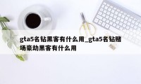 gta5名钻黑客有什么用_gta5名钻赌场豪劫黑客有什么用