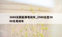 3800元新能源电动车_2500元至3000元电动车