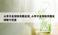 小李子足球和天朗足球_小李子足球和天朗足球哪个厉害