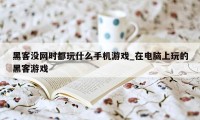 黑客没网时都玩什么手机游戏_在电脑上玩的黑客游戏