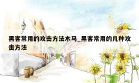 黑客常用的攻击方法木马_黑客常用的几种攻击方法