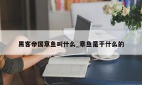 黑客帝国章鱼叫什么_章鱼是干什么的