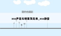 xss声音从哪里发出来_xss静音