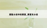 原耽小说中的黑客_黑客文小说