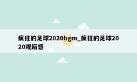 疯狂的足球2020bgm_疯狂的足球2020观后感