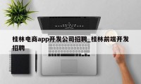 桂林电商app开发公司招聘_桂林前端开发招聘